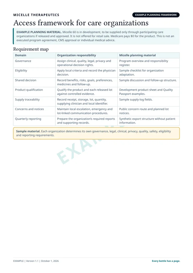 Preview of page 1 of the Access framework for care organizations